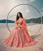 Peach Color Butterfly Net Fabric Sequence Embroidery Work Lehenga