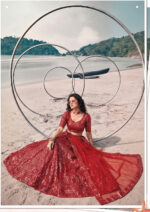 Red Color Butterfly Net Fabric Sequence Embroidery Work Lehenga