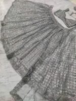 Grey Color Butterfly Net Fabric Jari With Rainbow Dual Sequence Work Lehenga