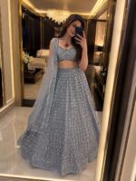 Grey Color Butterfly Net Fabric Jari With Rainbow Dual Sequence Work Lehenga