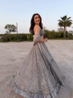 Grey Color Butterfly Net Fabric Jari With Rainbow Dual Sequence Work Lehenga