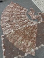 Brown Color Butterfly Soft Net Fabric Sequence Work Lehenga