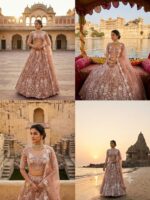 Brown Color Butterfly Soft Net Fabric Sequence Work Lehenga