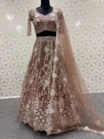 Brown Color Butterfly Soft Net Fabric Sequence Work Lehenga