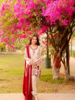 Cream Color Roman Silk Fabric Thread Work Harem Salwar Suit