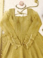 Gold Color Salsa Silk Fabric Foil Work Gown