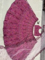 Pink Color Butterfly Soft Net Fabric Sequence With Coding Work Lehenga