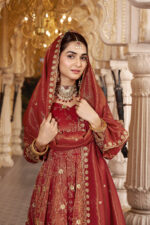 Rust Color Cosmos Fabric Sequence With Bead Work Anarkali Suit