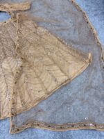 Gold Color Soft Butterfly Net Fabric Sequence Work Lehenga