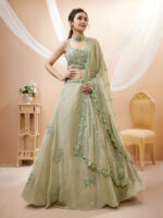 Pista Color Georgette Fabric Sequence With Jari Work Lehenga
