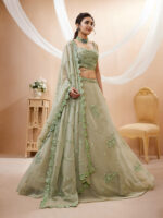 Pista Color Georgette Fabric Sequence With Jari Work Lehenga