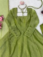 Pista Color Salsa Silk Fabric Foil Work Gown