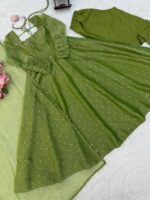 Pista Color Salsa Silk Fabric Foil Work Gown