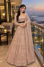 Rose Gold Color Soft Butterfly Net Fabric Coding With Jari Work Lehenga